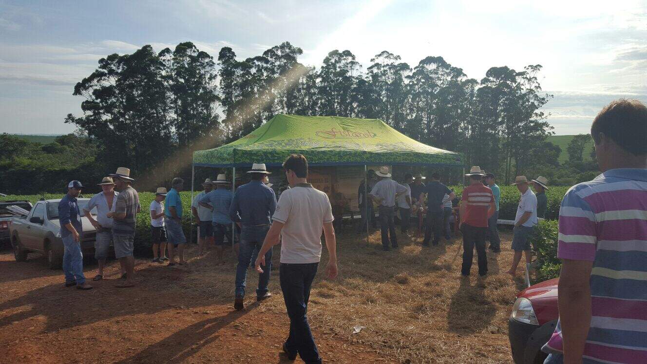 Dia de Campo de Cultura e Manejo de Soja (Realeza-Paraná)