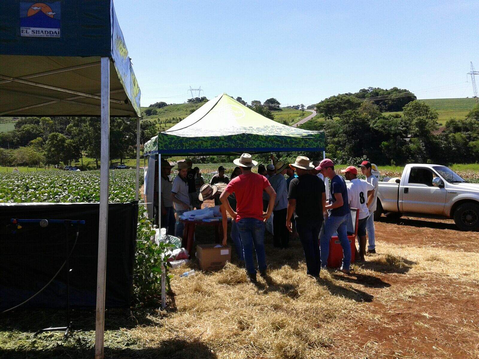 Dia de Campo de Cultura de Soja - Nova Prata do Iguaçu