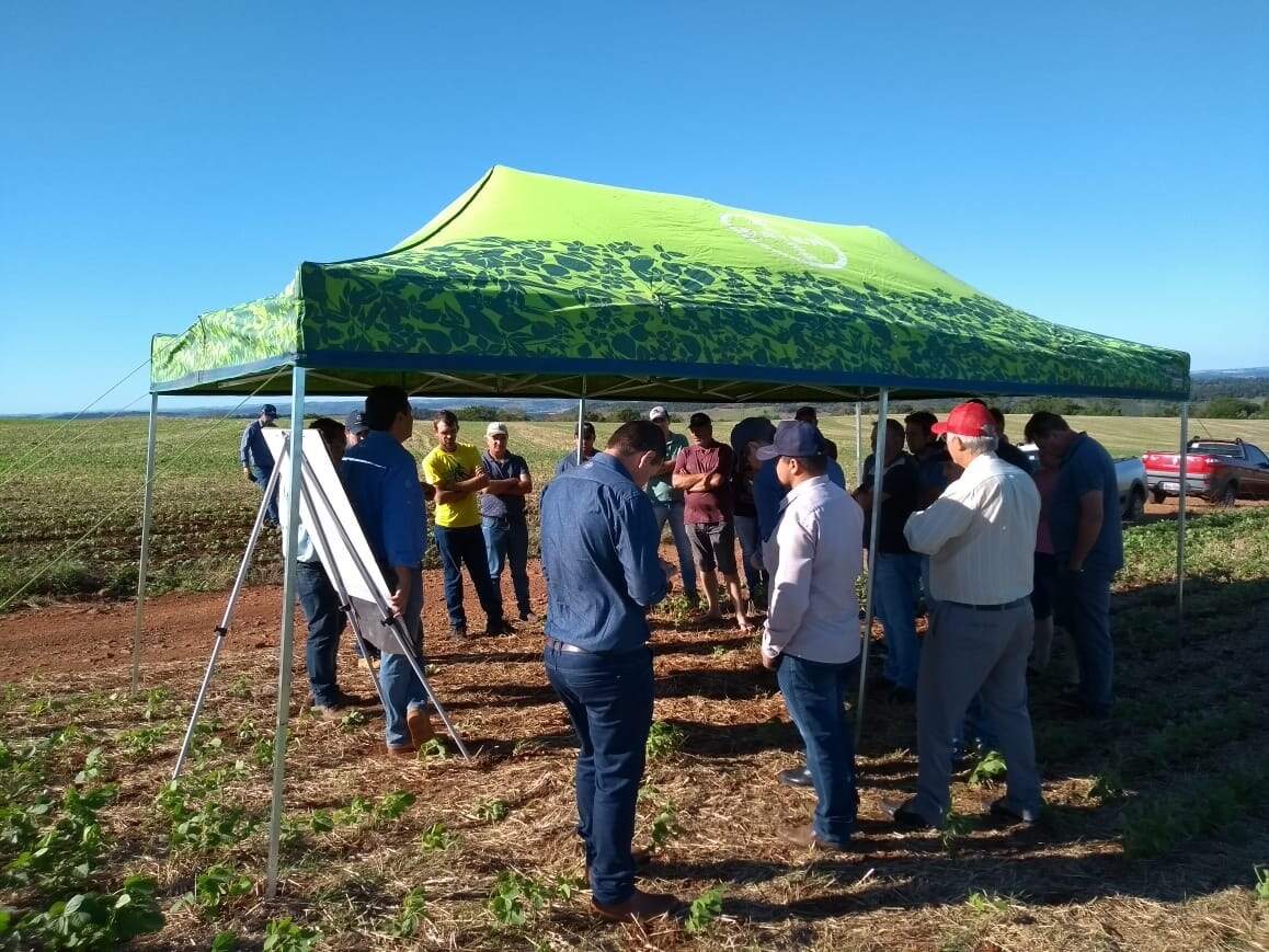 Treinamento com clientes e equipe técnica.