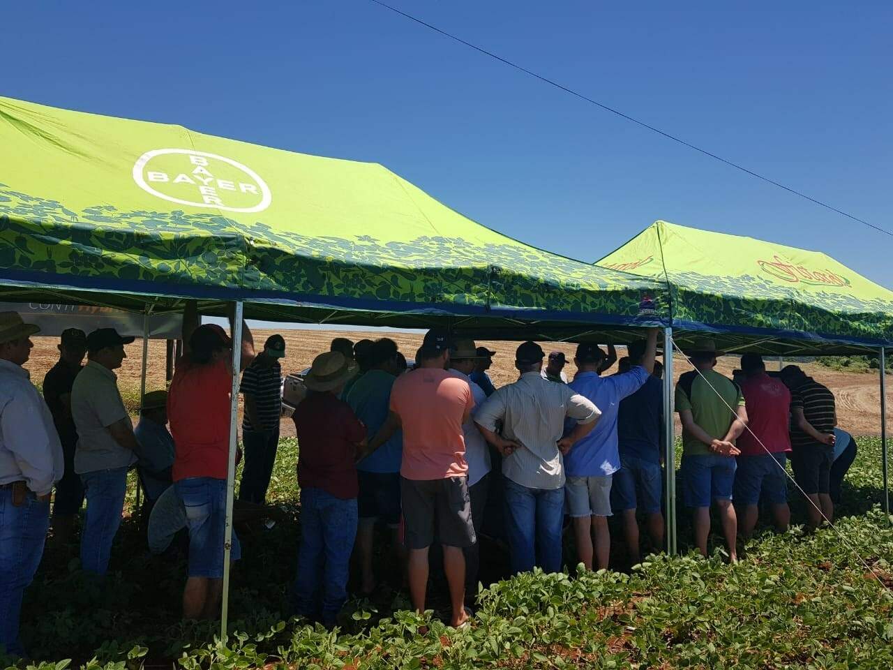 Treinamento com clientes e equipe técnica.