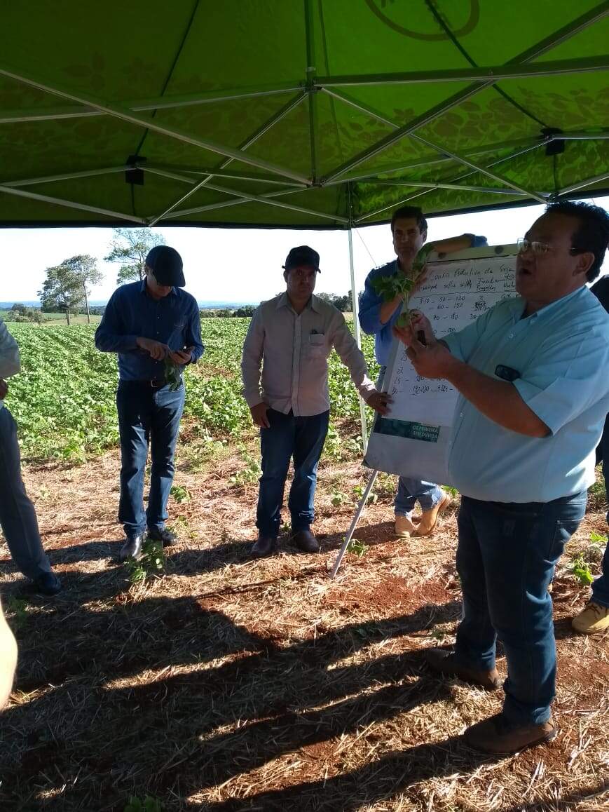 Treinamento com clientes e equipe técnica.