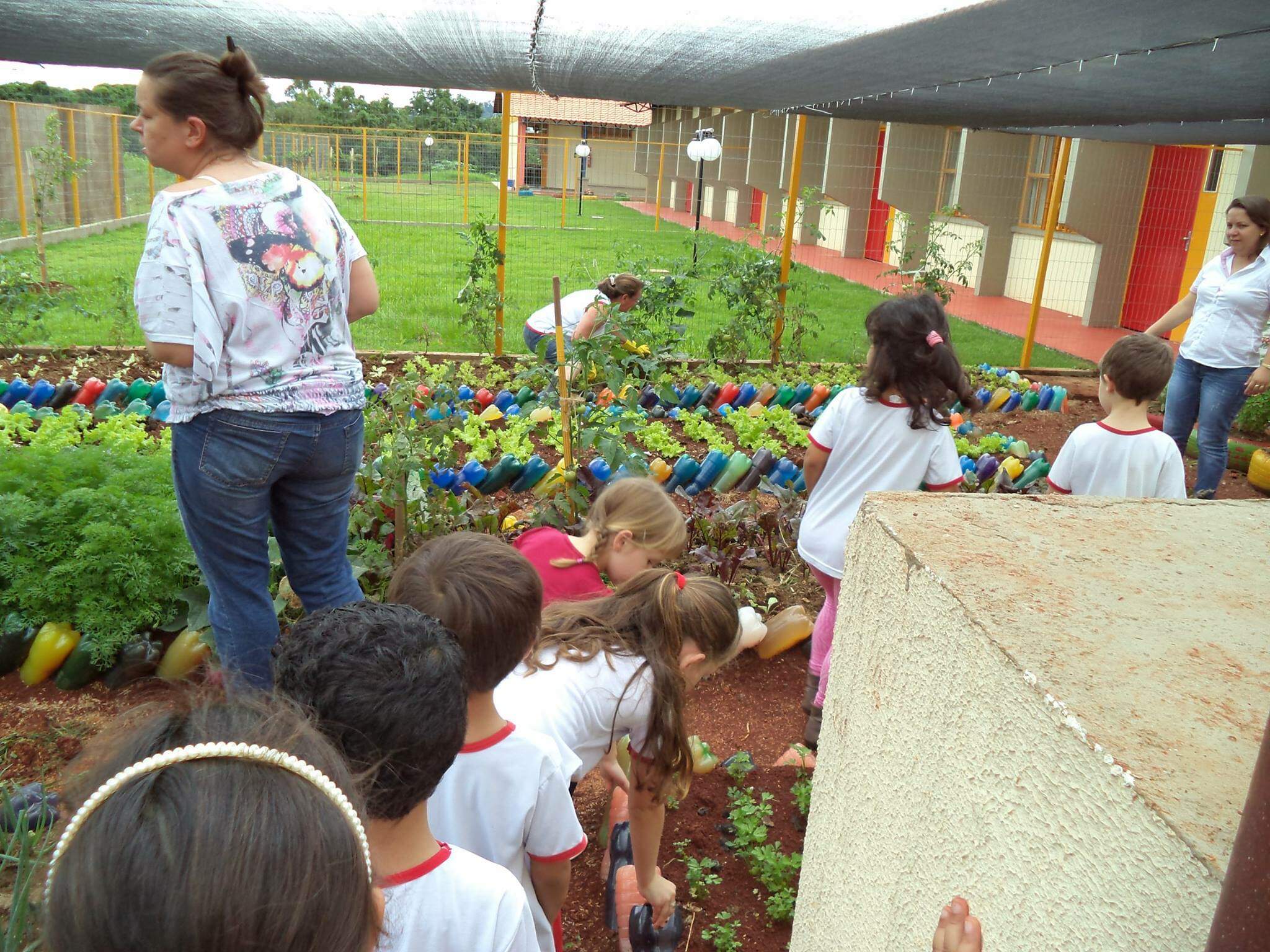 Projeto Sustentável