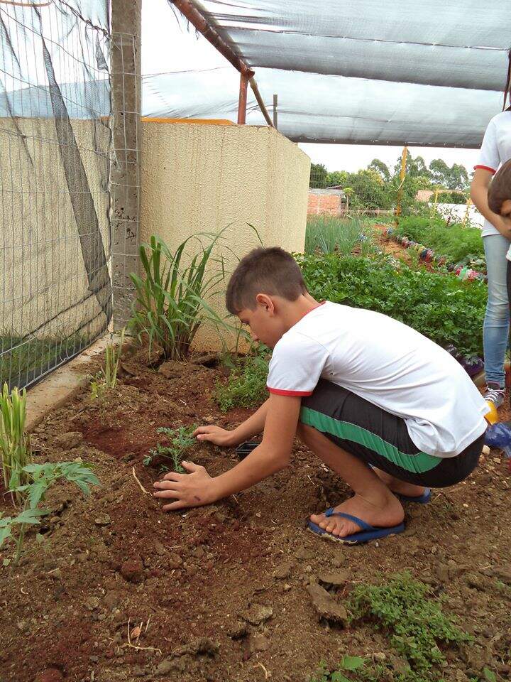 Projeto Sustentável