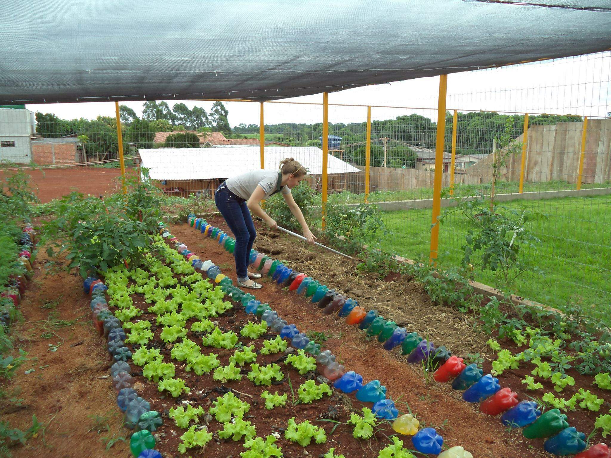 Projeto Sustentável