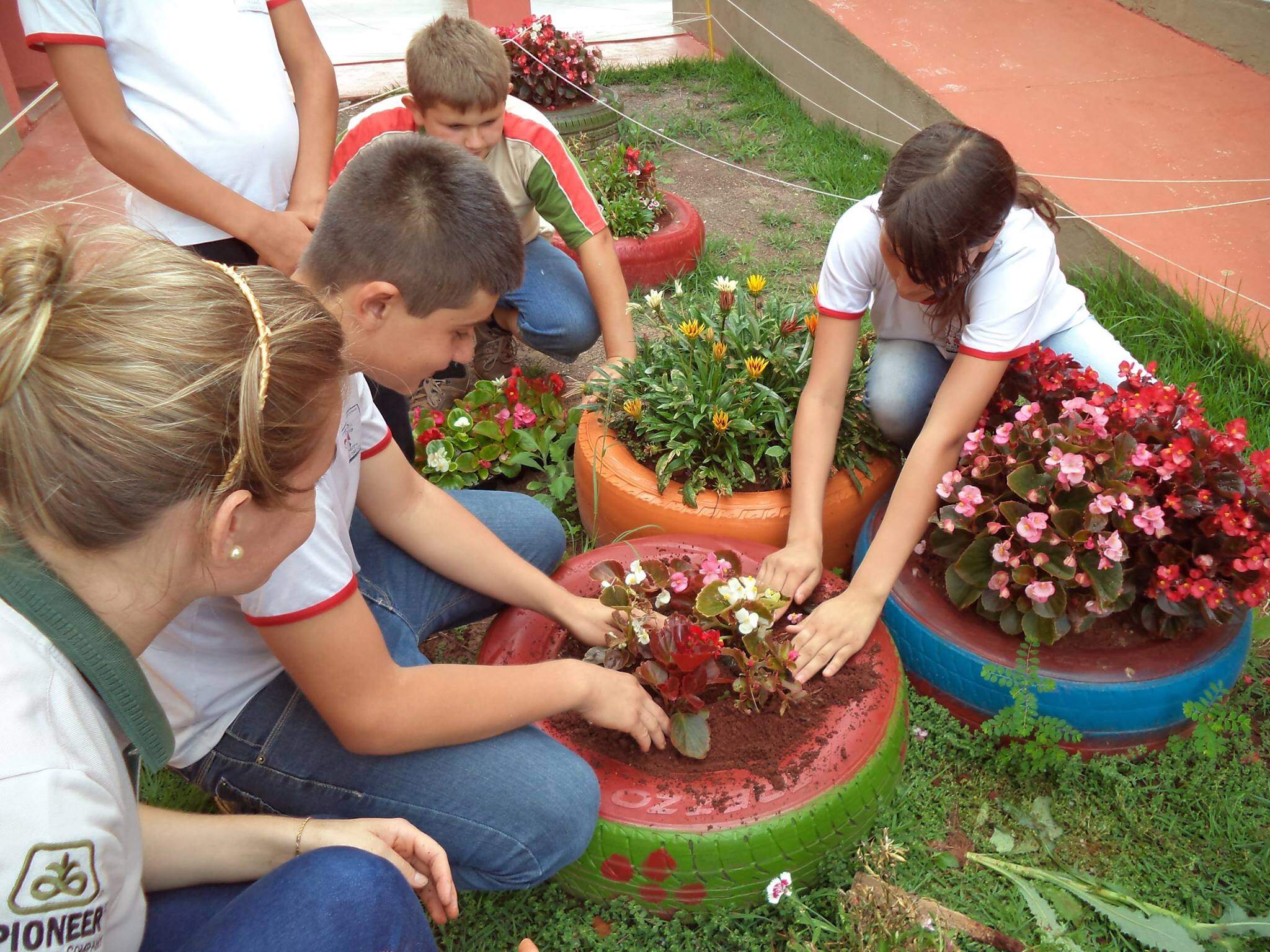 Projeto Sustentável