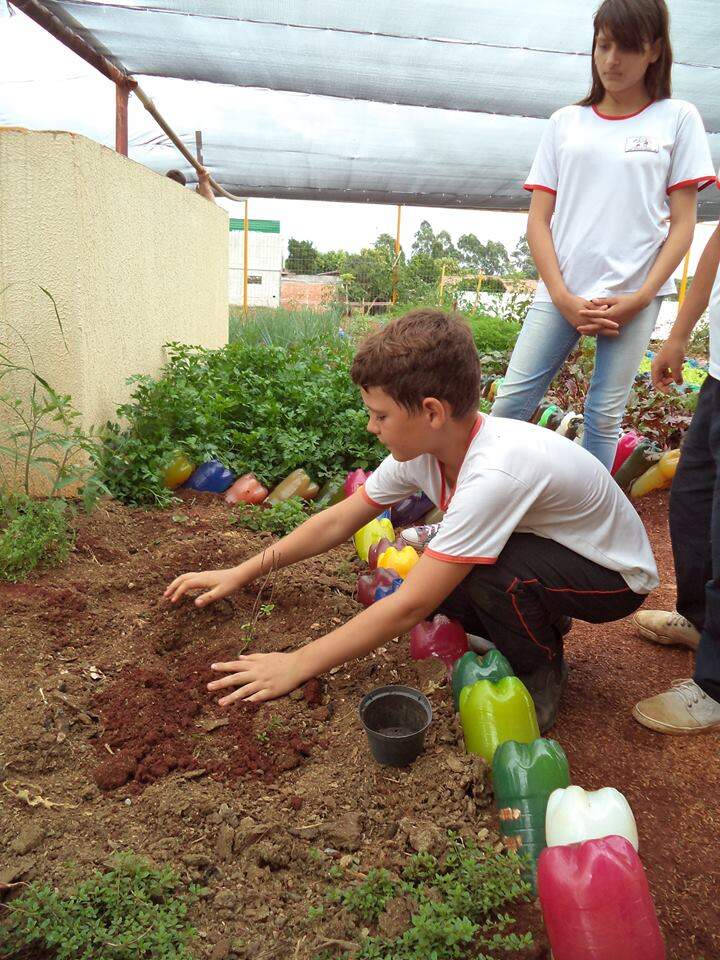 Projeto Sustentável