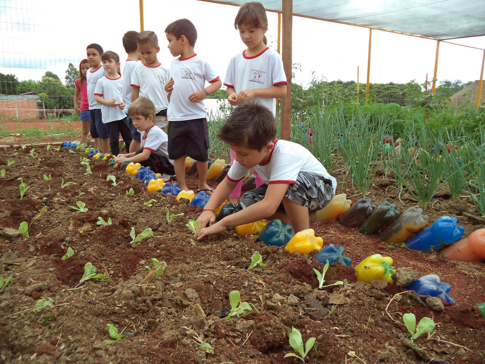 Projeto Sustentável