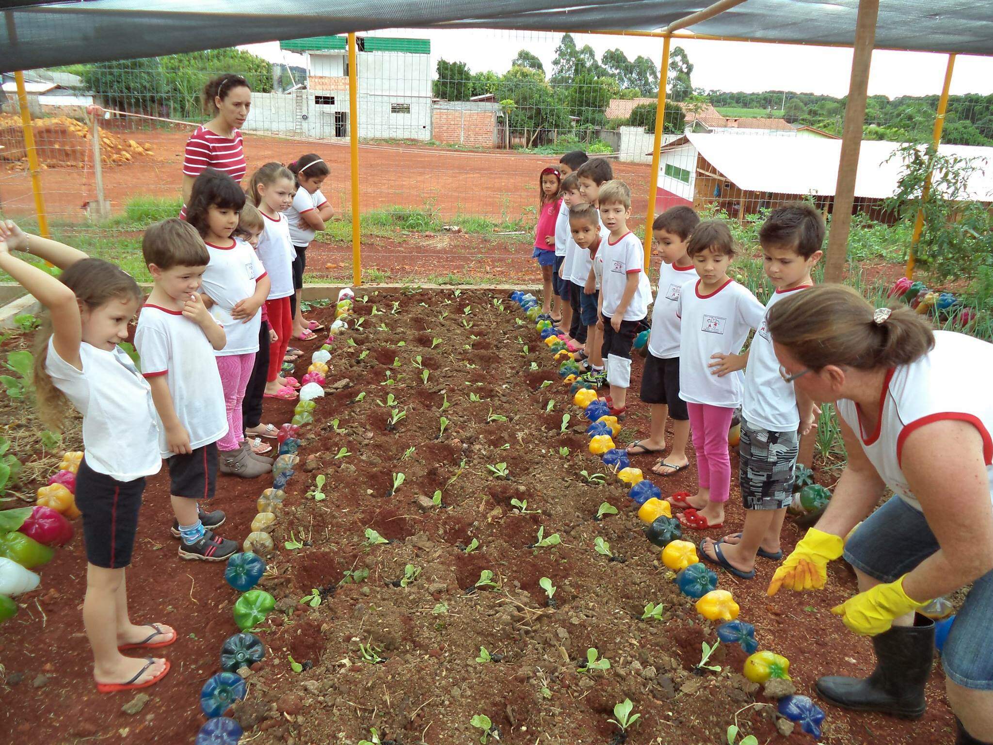 Projeto Sustentável