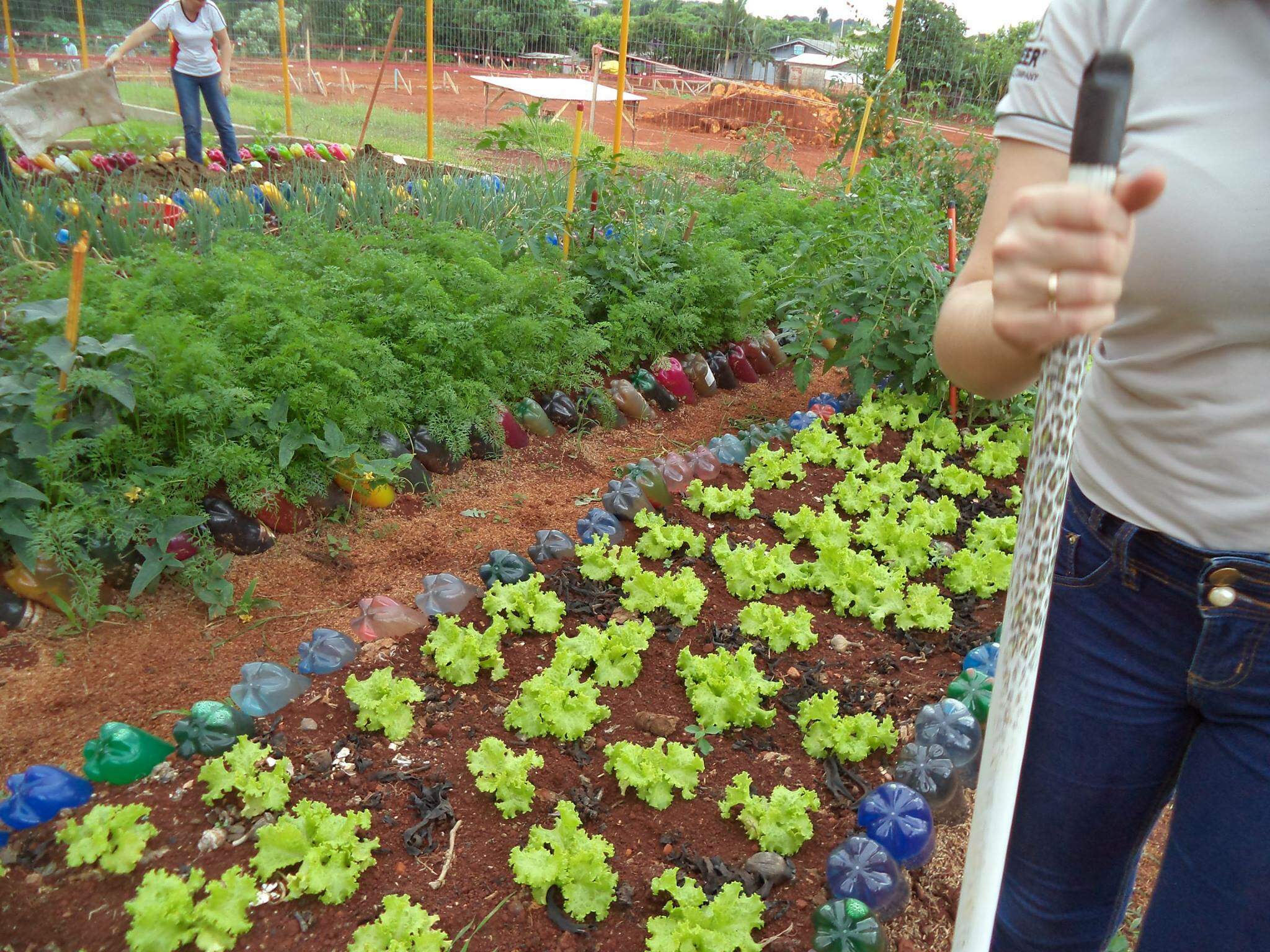 Projeto Sustentável