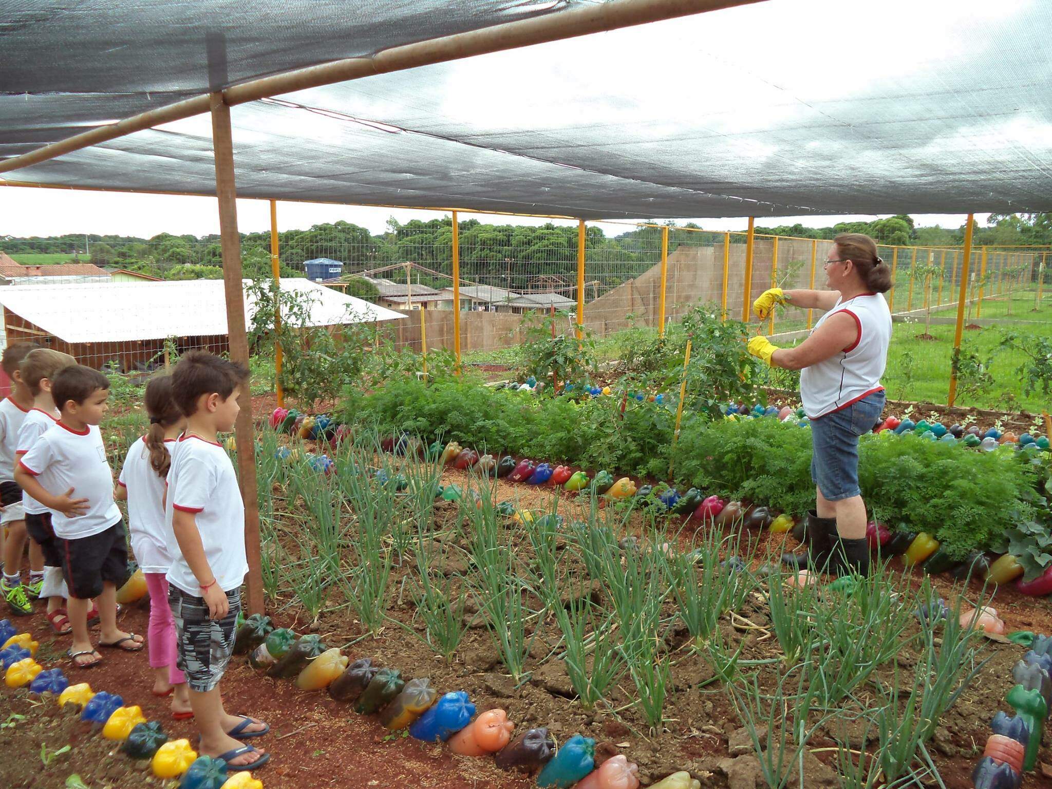 Projeto Sustentável