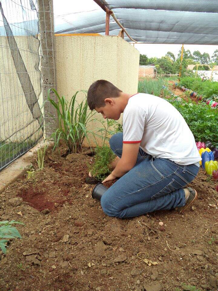 Projeto Sustentável