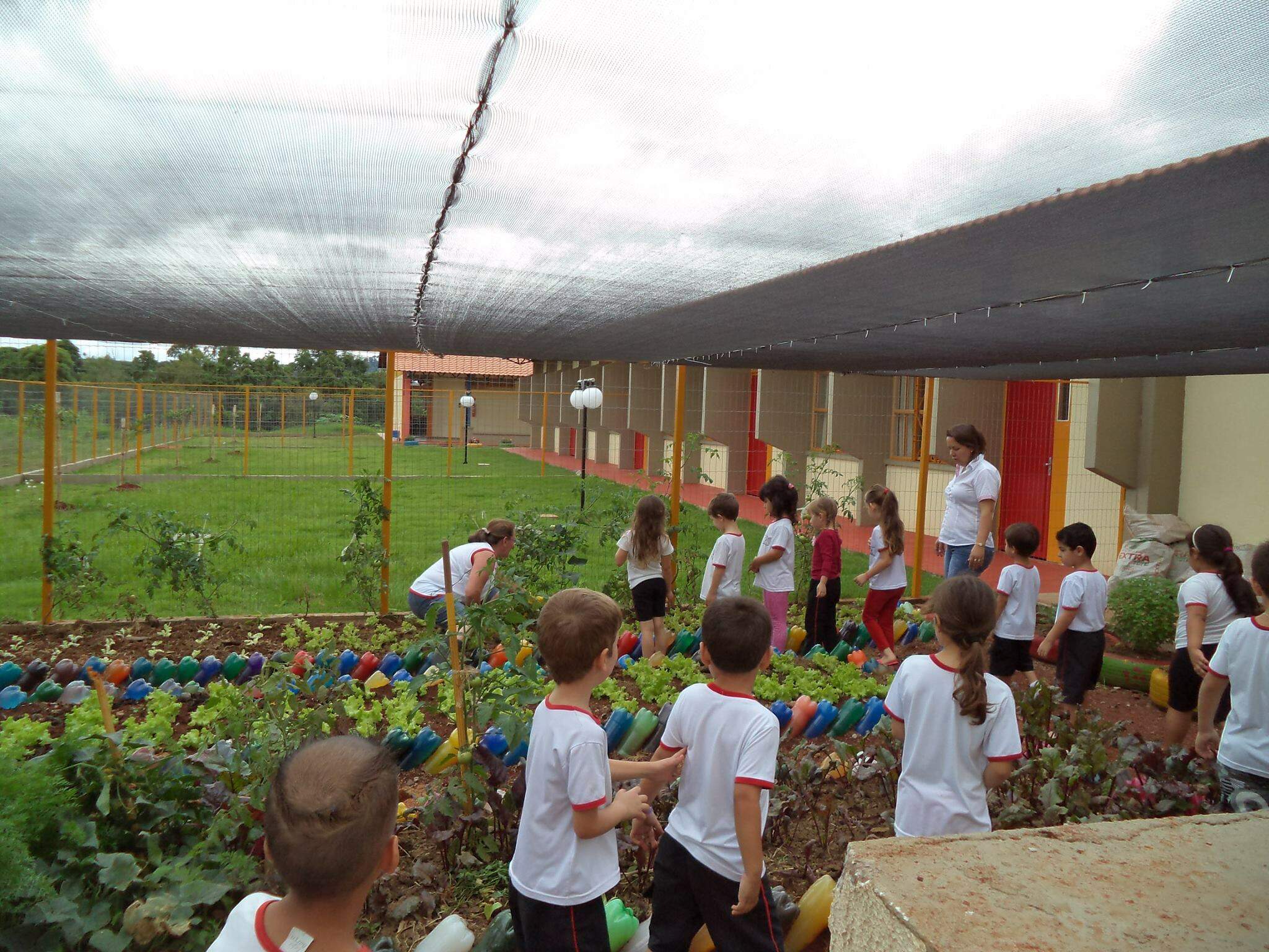 Projeto Sustentável