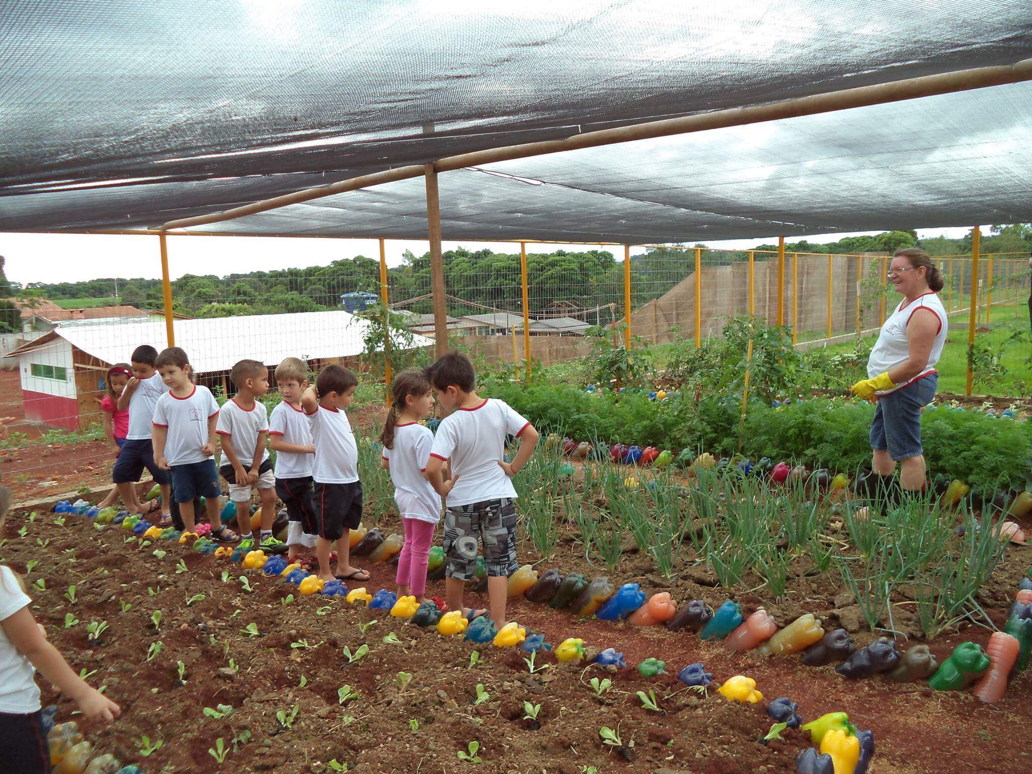 Projeto Sustentável