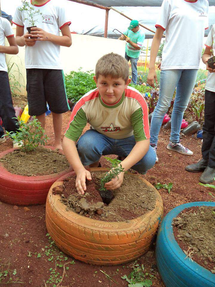 Projeto Sustentável