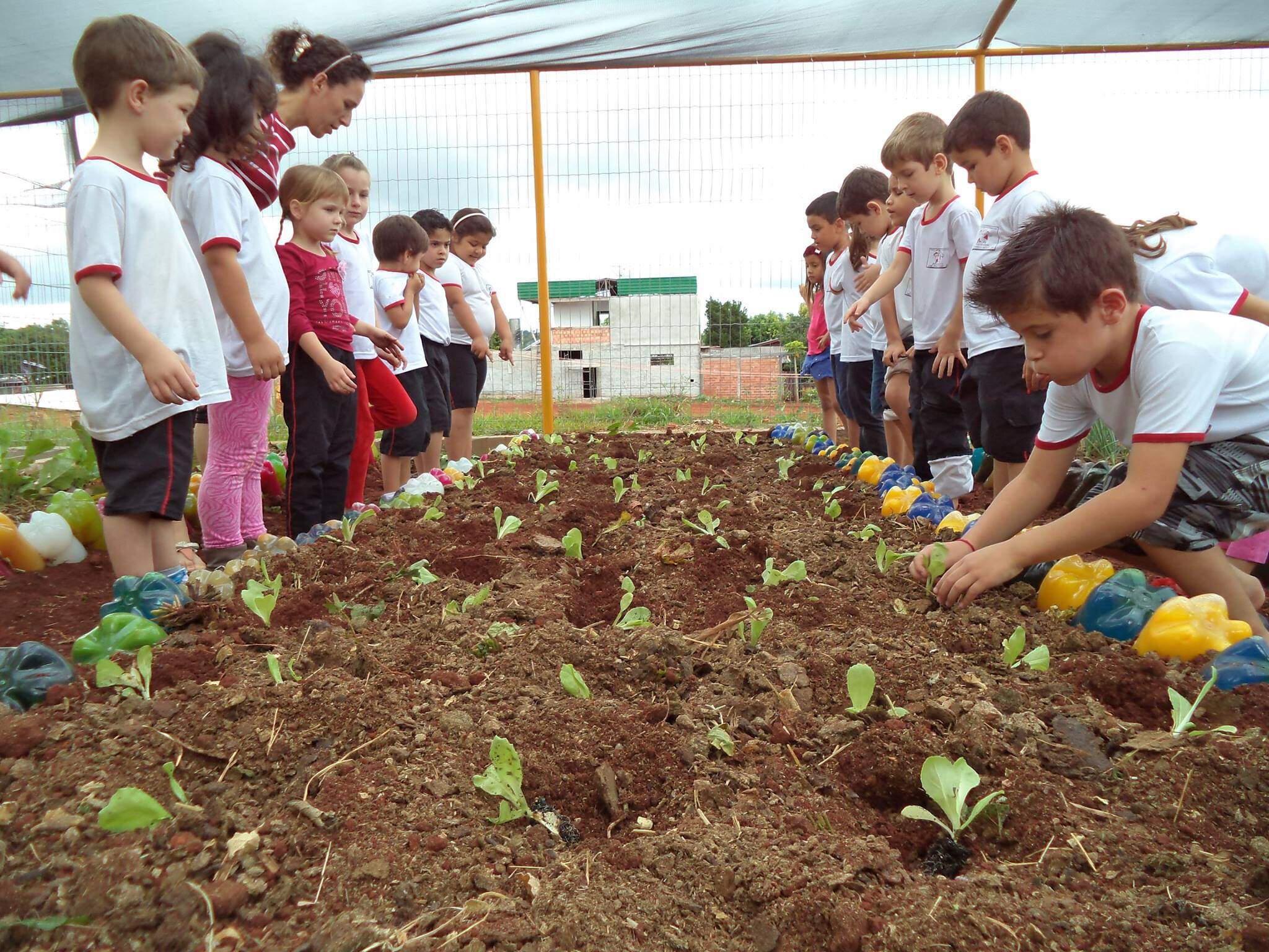 Projeto Sustentável