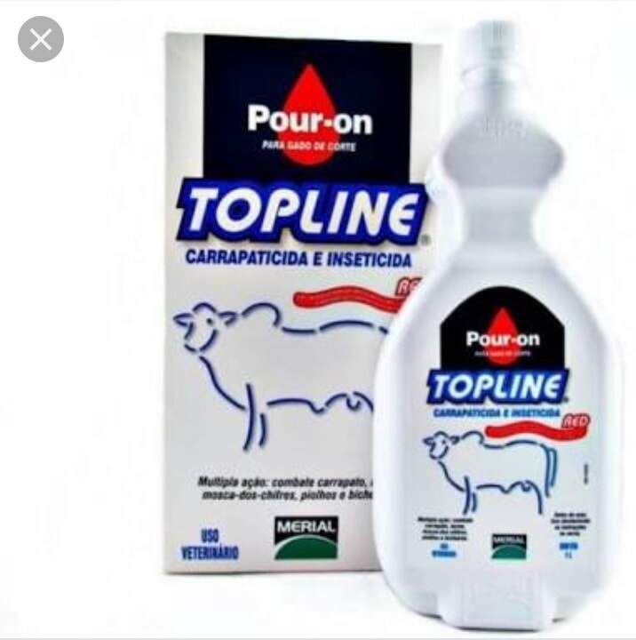 Topline